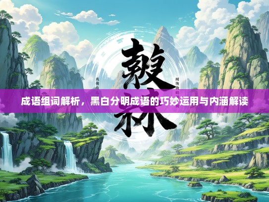 成语组词解析，黑白分明成语的巧妙运用与内涵解读