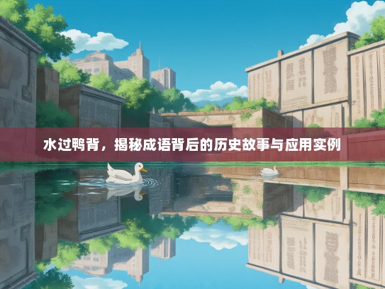 水过鸭背，揭秘成语背后的历史故事与应用实例