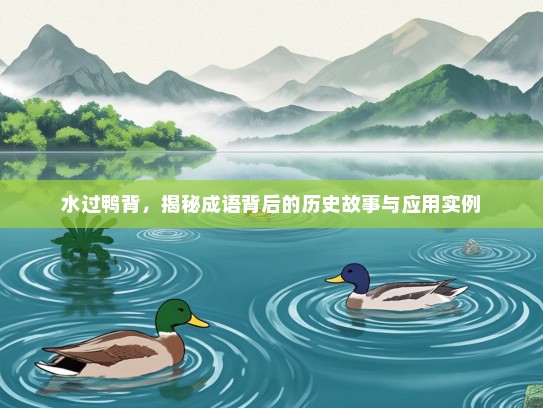 水过鸭背，揭秘成语背后的历史故事与应用实例