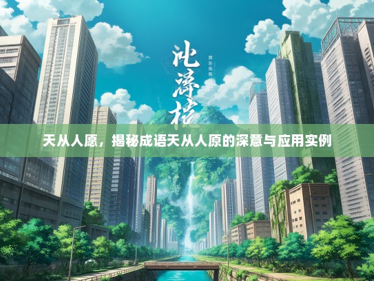 天从人愿，揭秘成语天从人原的深意与应用实例