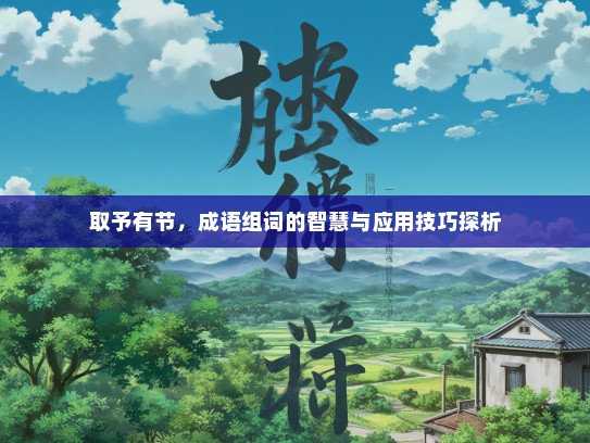 取予有节，成语组词的智慧与应用技巧探析