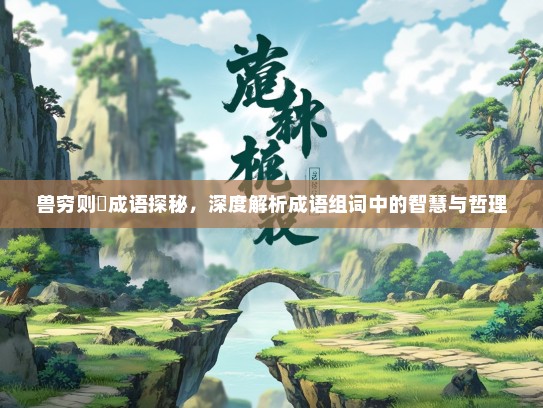 兽穷则齧成语探秘，深度解析成语组词中的智慧与哲理