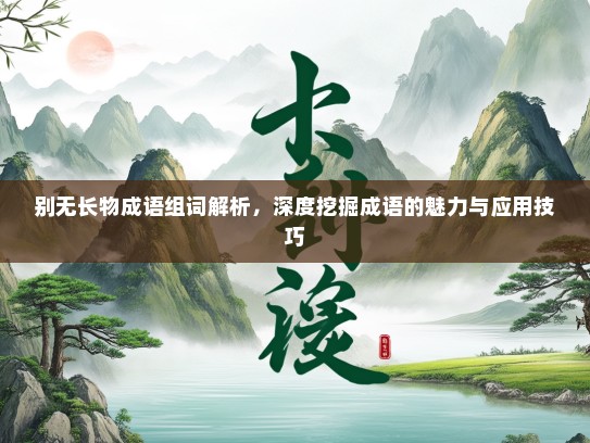 别无长物成语组词解析，深度挖掘成语的魅力与应用技巧