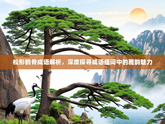 松形鹤骨成语解析，深度探寻成语组词中的雅韵魅力