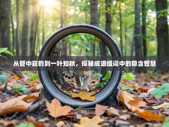 从管中窥豹到一叶知秋，探秘成语组词中的隐含智慧