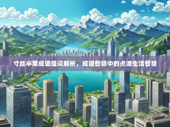 寸丝半粟成语组词解析，成语智慧中的点滴生活智慧