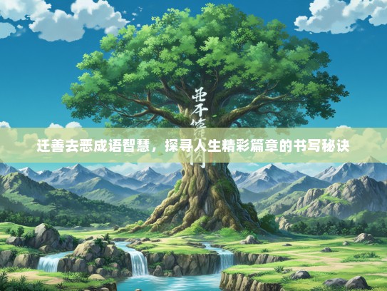 迁善去恶成语智慧，探寻人生精彩篇章的书写秘诀