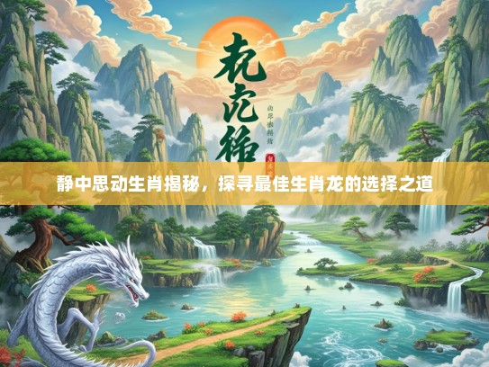 静中思动生肖揭秘，探寻最佳生肖龙的选择之道