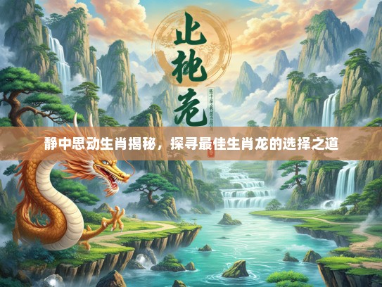 静中思动生肖揭秘，探寻最佳生肖龙的选择之道