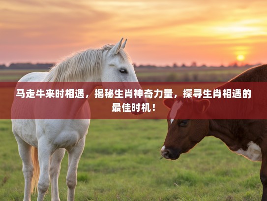 马走牛来时相遇，揭秘生肖神奇力量，探寻生肖相遇的最佳时机！