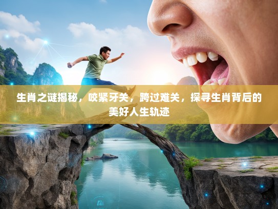 生肖之谜揭秘，咬紧牙关，跨过难关，探寻生肖背后的美好人生轨迹